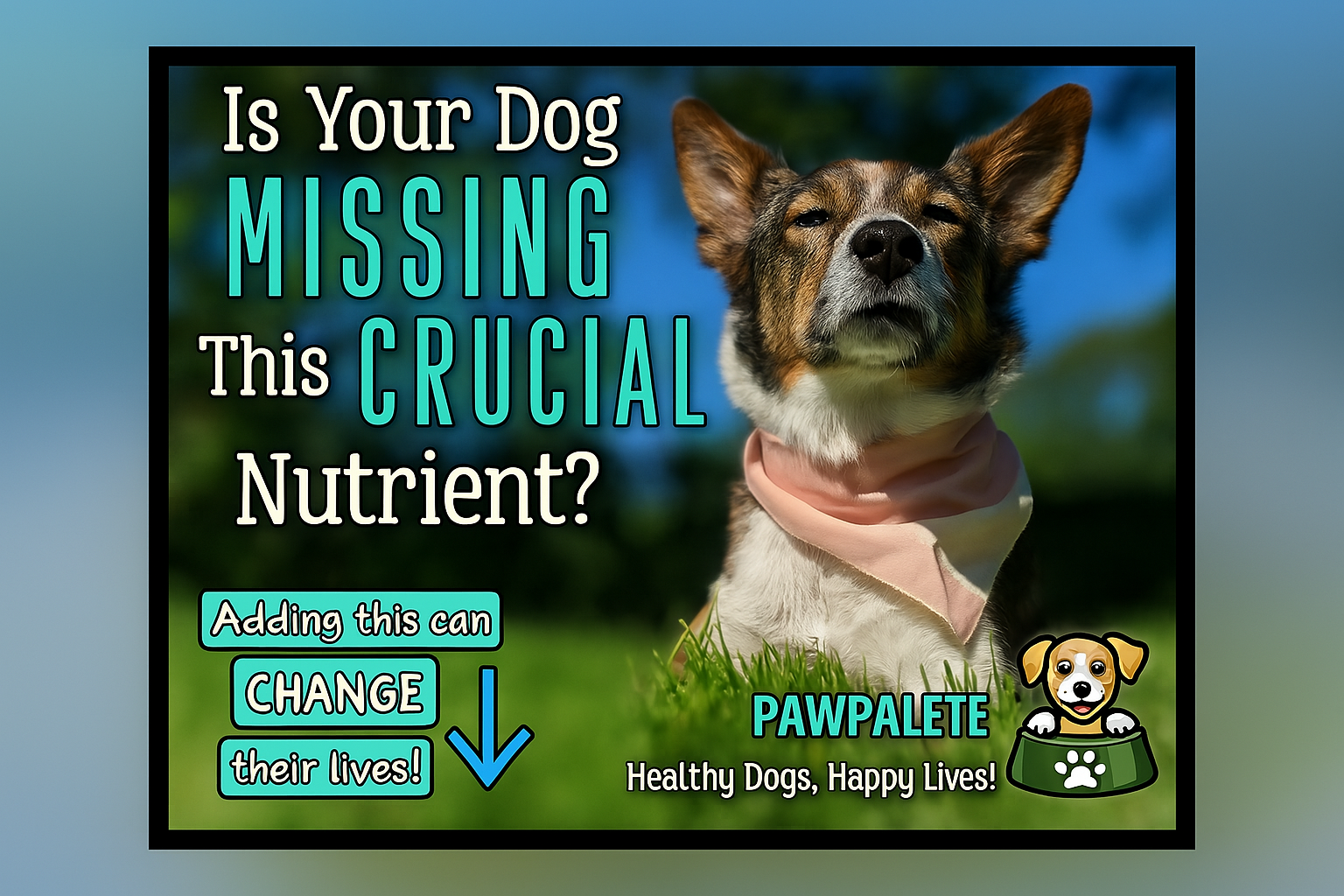 Could Your Dog Be Deficient in This Vital Nutrient? Find Out Now!