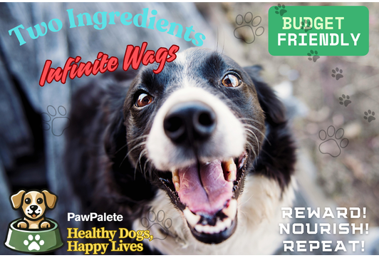 Treats That Train & Nourish: 6 Two-Ingredient Recipes Under 10 Minutes