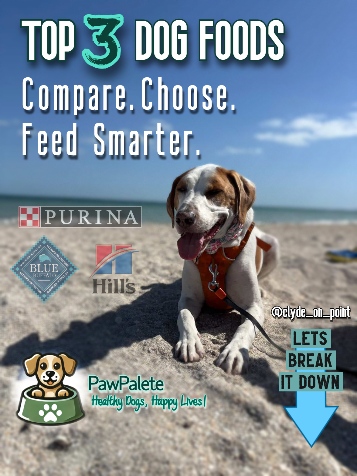 Kibble Showdown: Comparing America’s 3 Most Popular Dog Foods